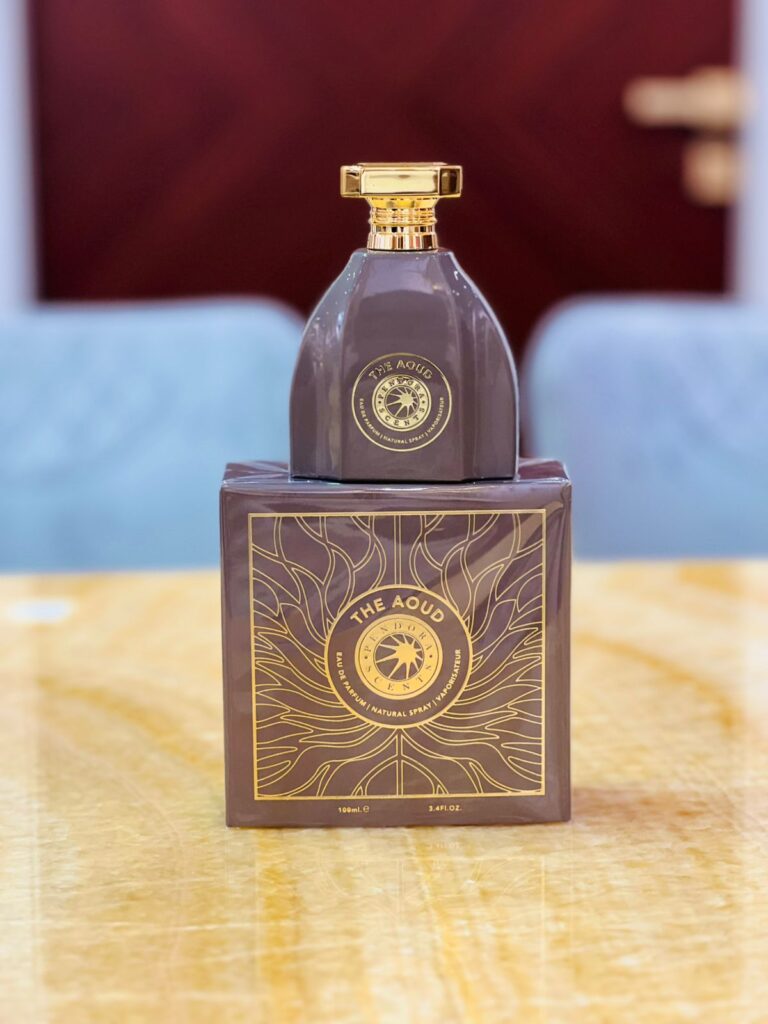 Eau de Parfum The Aoud by Paris Corner, Unisex, 100 ml