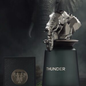 Eau de Parfum Thunder by French Avenue, Men, 100 ml